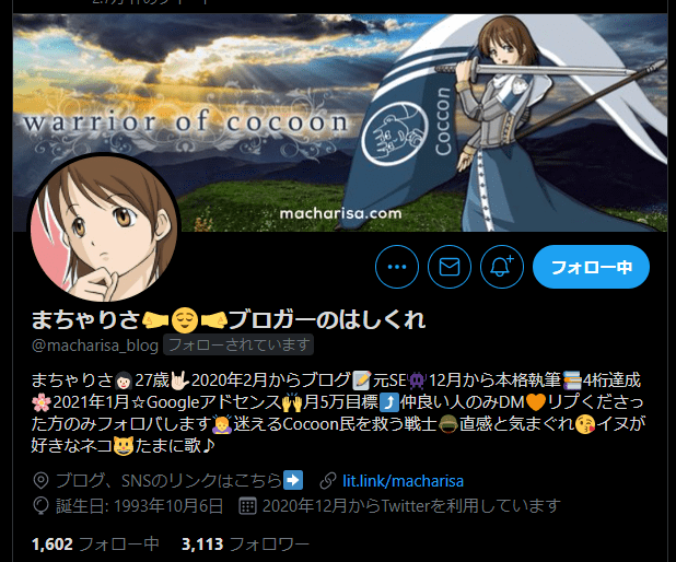 まちゃりさTwitterプロフィール